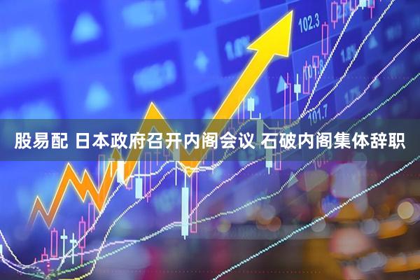 股易配 日本政府召开内阁会议 石破内阁集体辞职