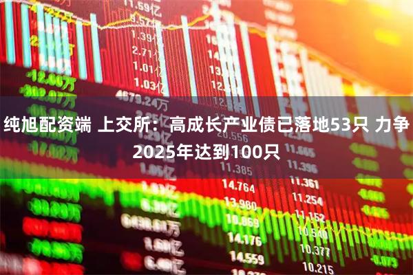 纯旭配资端 上交所：高成长产业债已落地53只 力争2025年达到100只