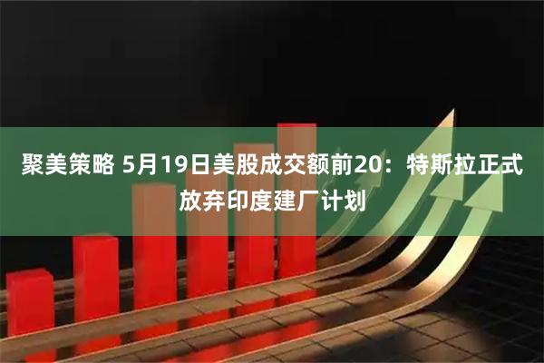 聚美策略 5月19日美股成交额前20：特斯拉正式放弃印度建厂计划